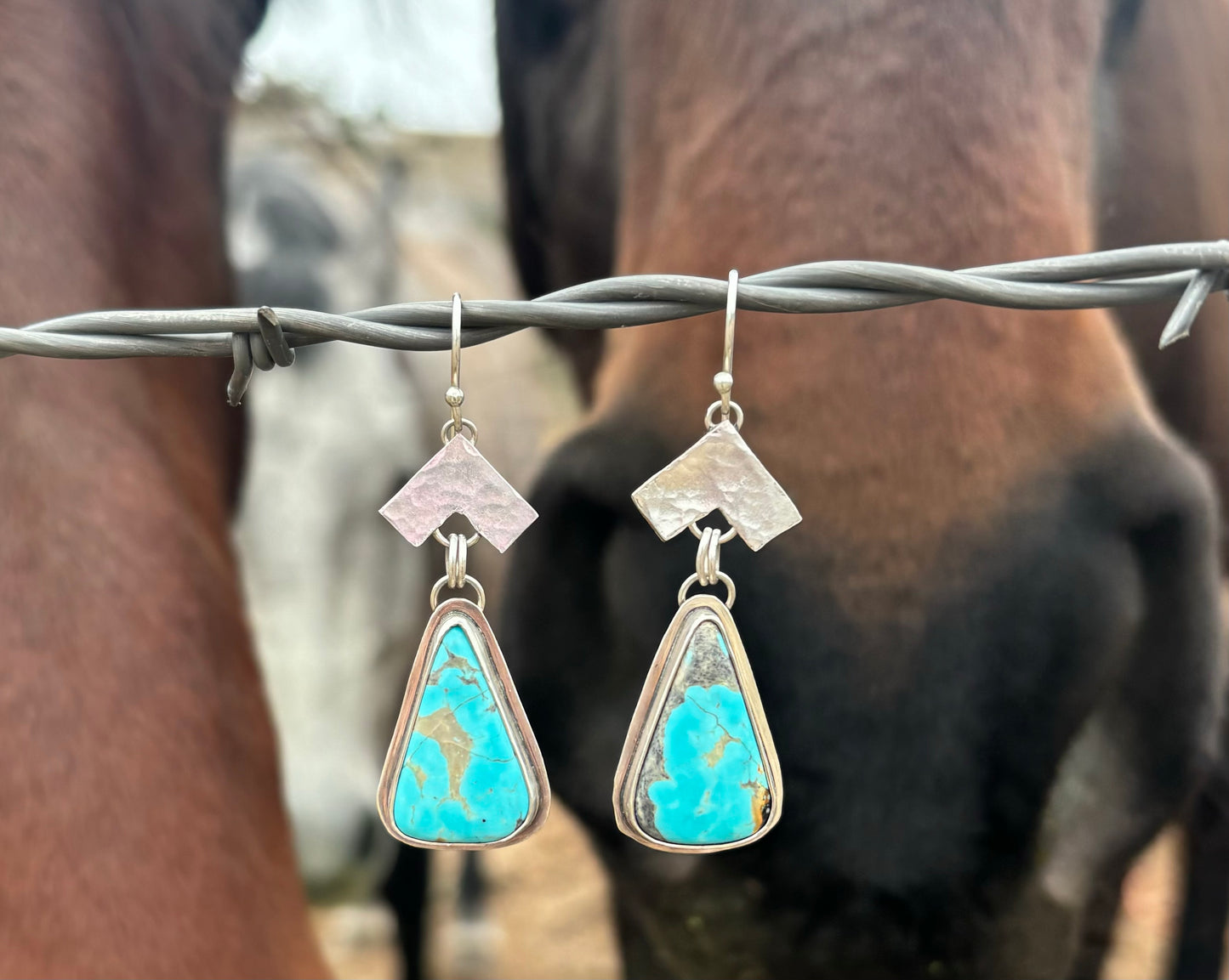 North Earrings